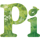 Pi 로고